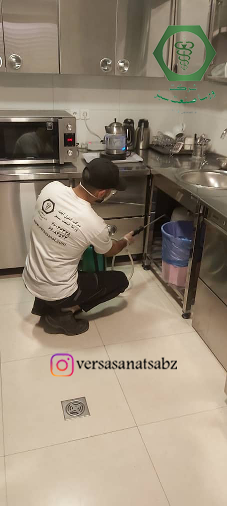 سمپاشی سوسک نوار قهوه ای+عکس